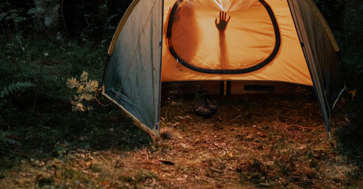 Reviewing Techniques That Enhance Trust in Relationships